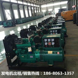 昌都發(fā)電機出租銷售公司的技術(shù)服務(wù) 為高原供電保駕護(hù)航